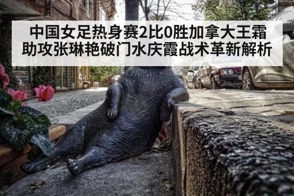 中国女足热身赛2比0胜加拿大王霜助攻张琳艳破门水庆霞战术革新解析