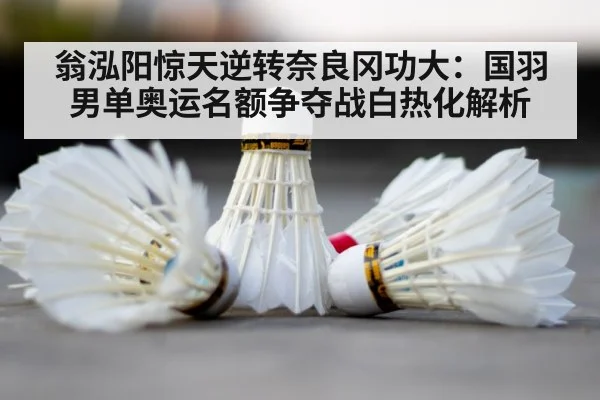 Olympic badminton competition